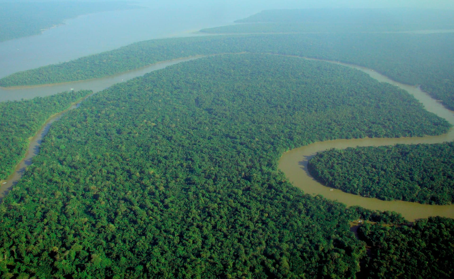 Aerial view of dense green Amazon rainforest broken by a winding river