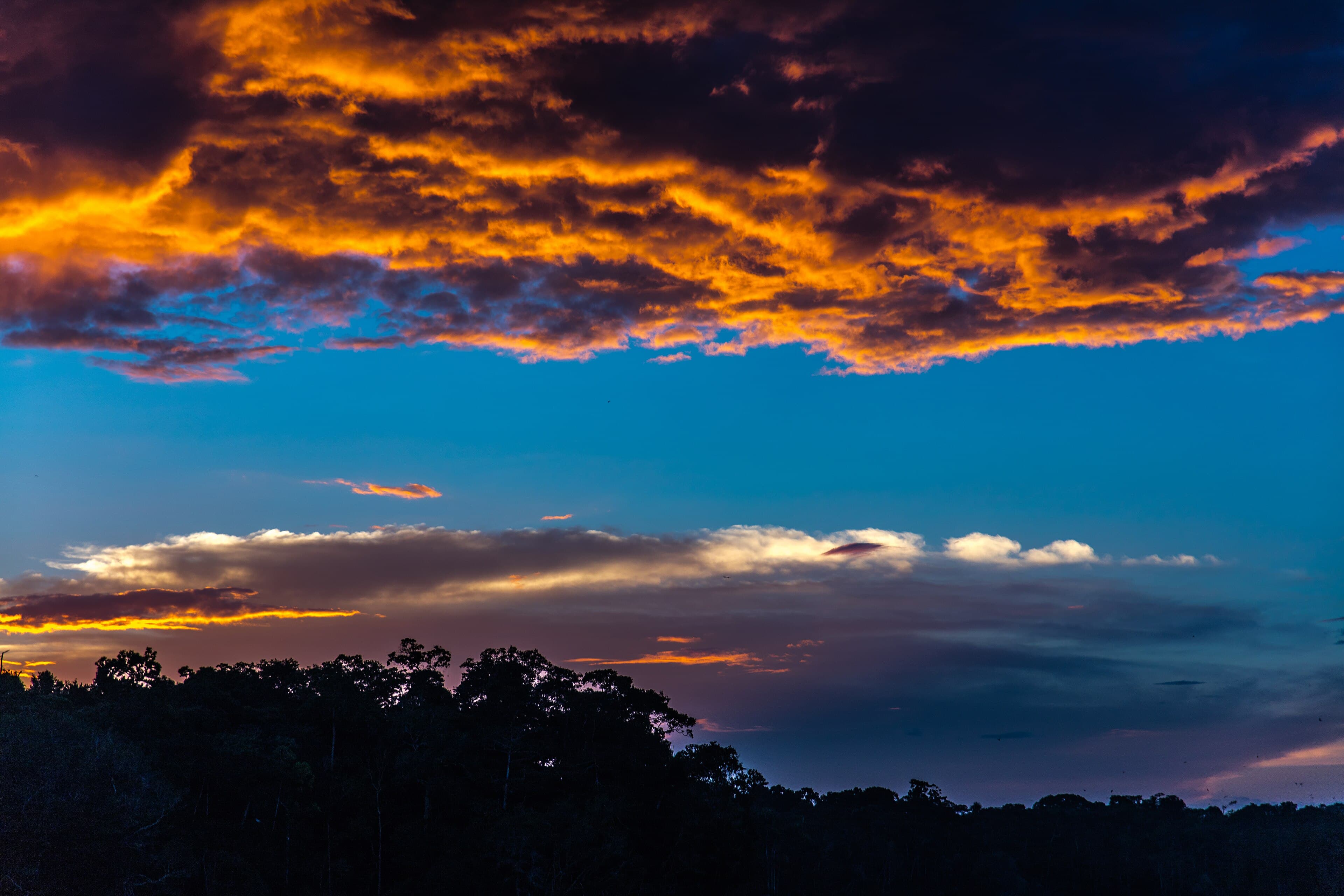Twilight glowing over still water at the edge of the Amazon rainforest