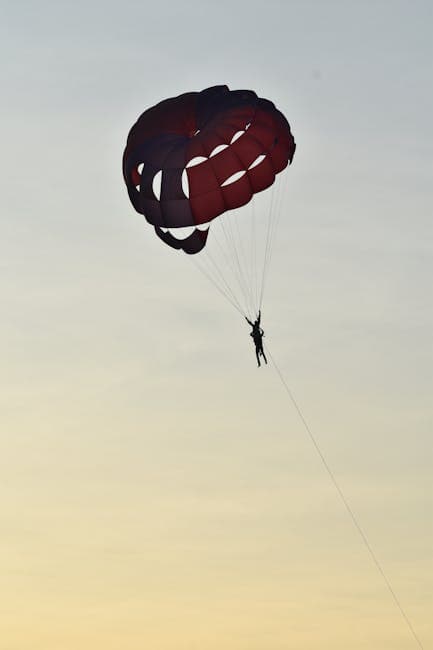 A silhouette of a parachutist soaring in the sky, illustrating Cooper's daring leap into the unknown
