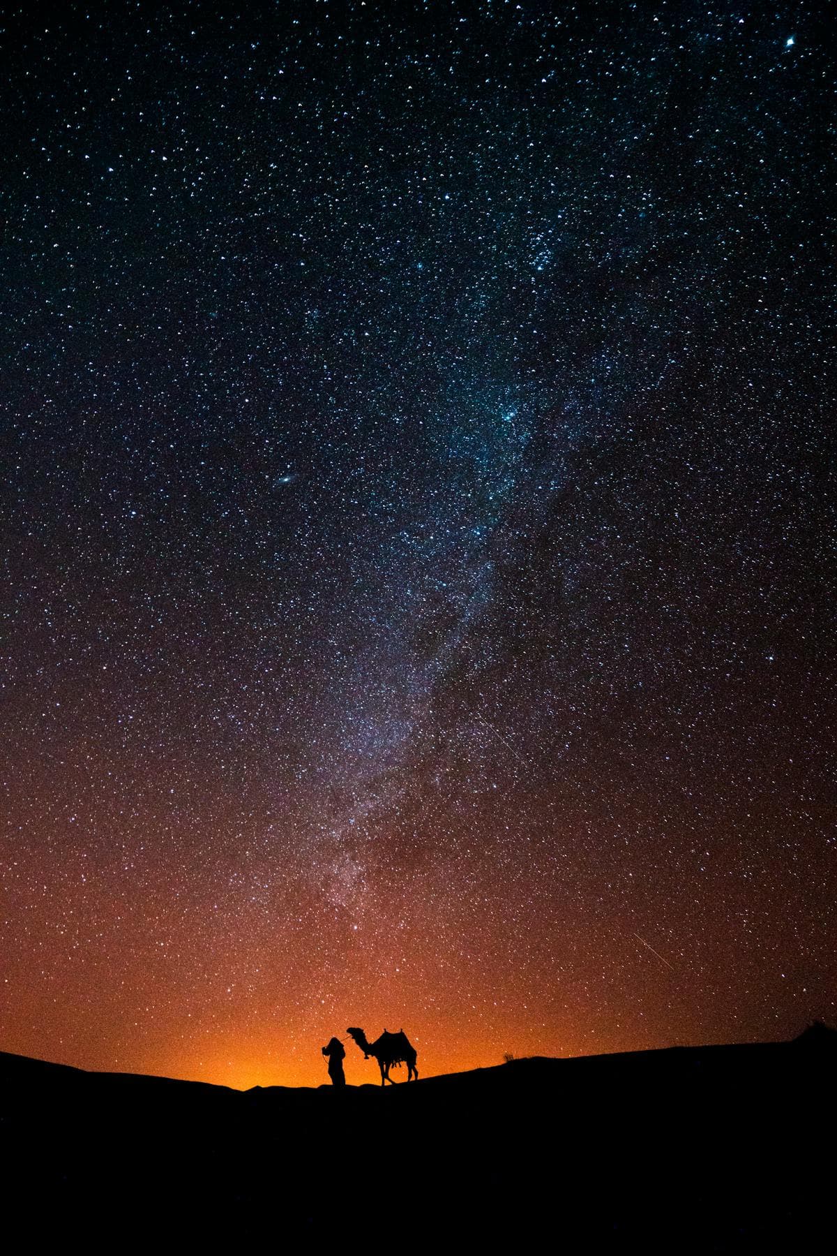 Desert night sky filled with stars and a camel silhouette on the horizon, evoking the ancient and mysterious atmosphere tied to indigenous legends