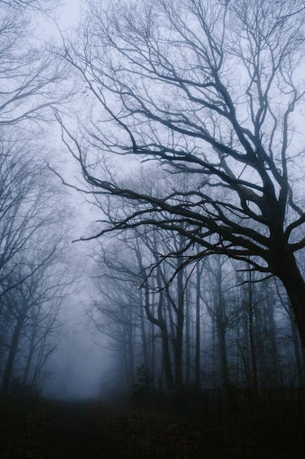Misty forest with bare trees silhouetted against fog, similar to the dense woodlands of Rendlesham Forest where the sightings occurred