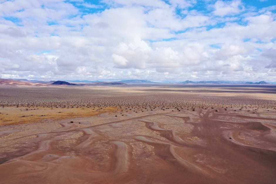 Vast Nevada desert landscape stretching toward distant mountains under a bright blue sky