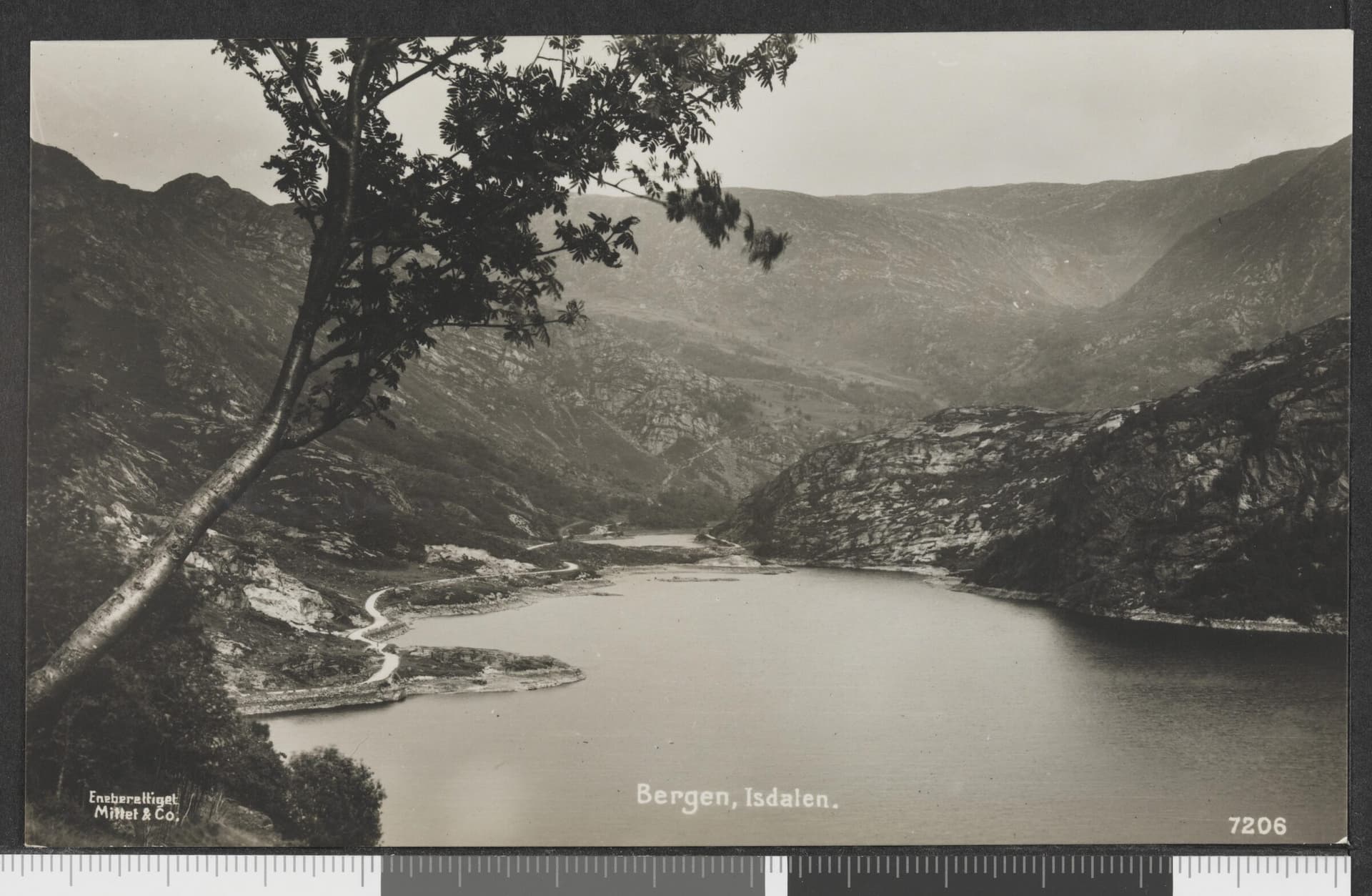 The steep forested walls of Isdalen valley outside Bergen, Norway, where the Isdal Woman was discovered in November 1970