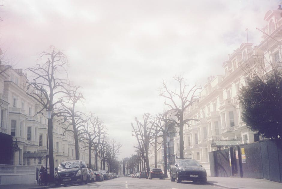 Atmospheric foggy street scene in London showcasing bare trees and classic Victorian architecture