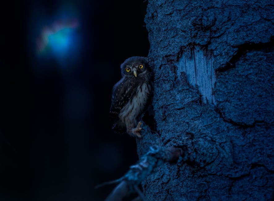 Owl perched on a tree trunk at night with glowing eyes reflecting light in the darkness