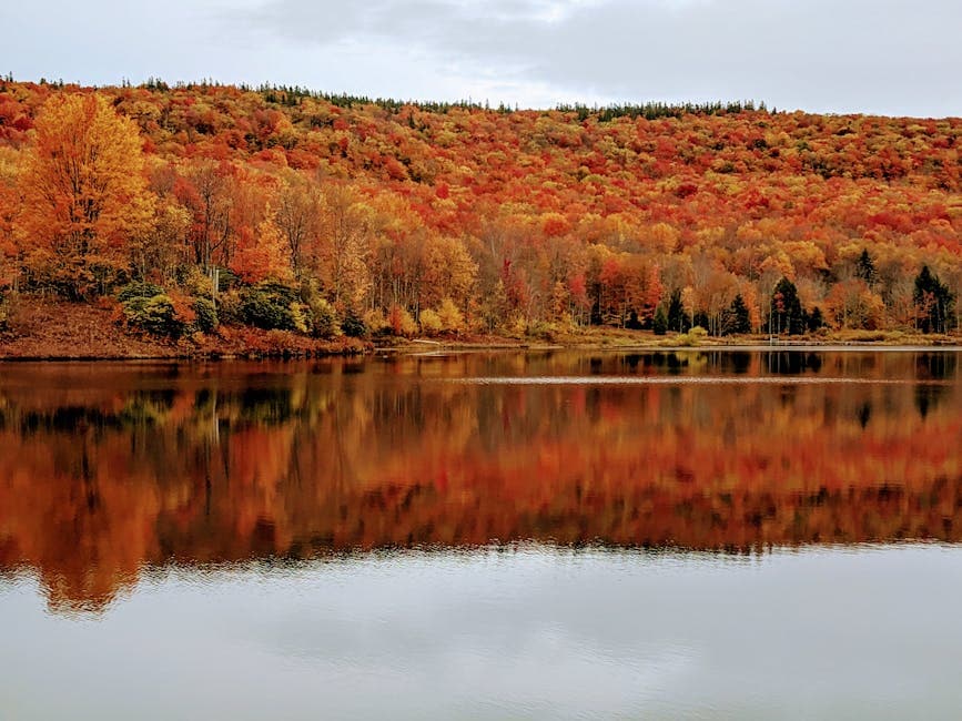 Autumn landscape with vibrant foliage reflecting in a lake in West Virginia