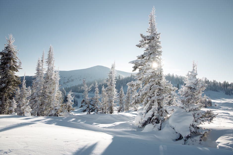 Snow-covered trees and mountains in the vast Siberian wilderness, the remote landscape where the Tunguska event occurred